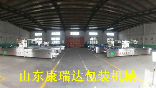 山東康瑞達(dá)香脆腸全自動包裝機(jī)價格解析